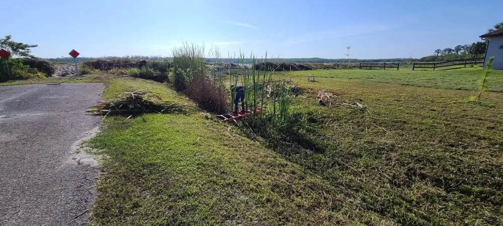 Professional lawn care service in Golden Gate, FL - Seasonal Lawn Service