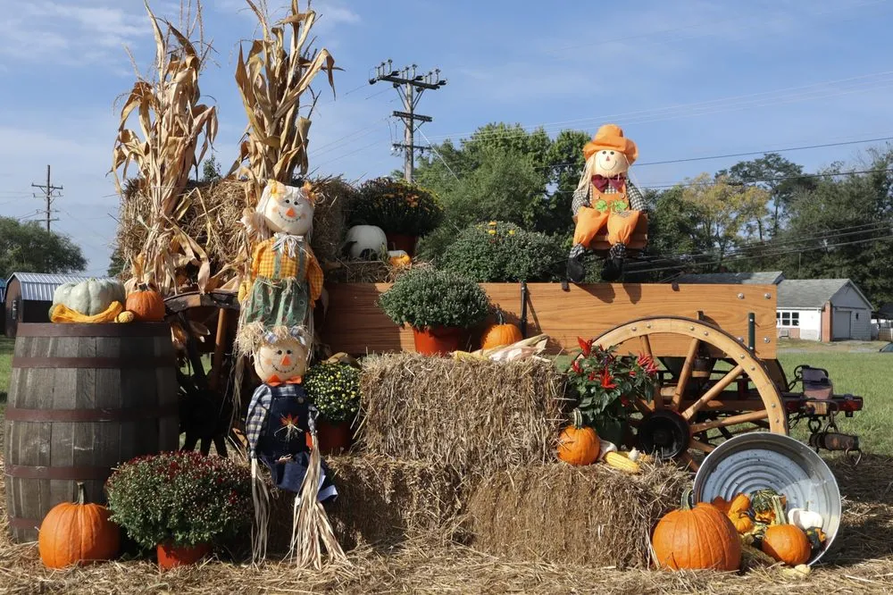 Professional yard cleanup service for homes in Inwood, WV by Seasonal Services Garden Center & Landscape Supply