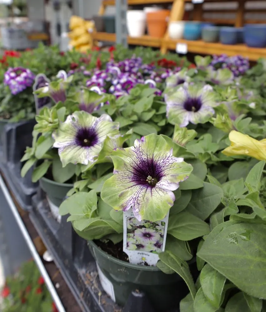 Reliable residential landscaping in Inwood, WV by Seasonal Services Garden Center & Landscape Supply