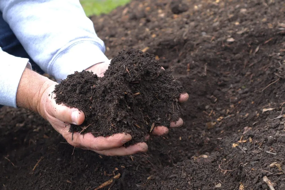 Trusted landscape design in Inwood, WV - Seasonal Services Garden Center & Landscape Supply