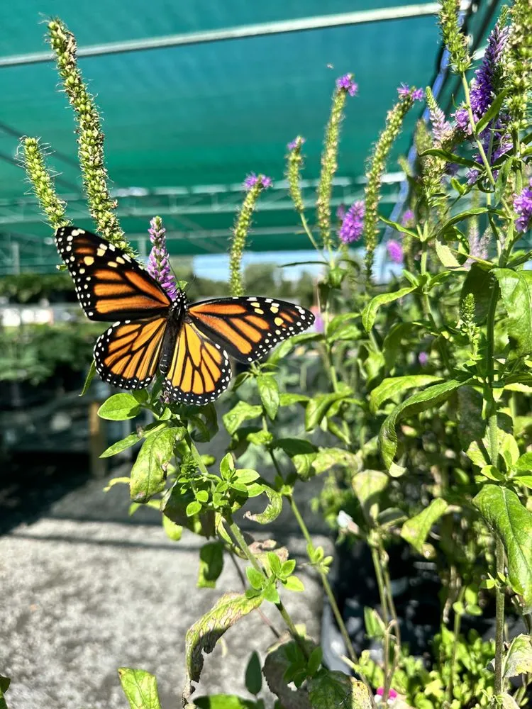 Affordable landscaping services in Inwood, WV - Seasonal Services Garden Center & Landscape Supply