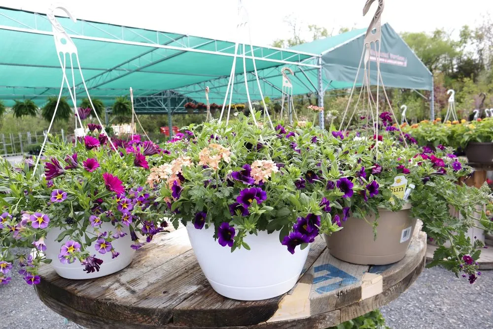 Top-rated outdoor landscaping in Inwood, WV - Seasonal Services Garden Center & Landscape Supply