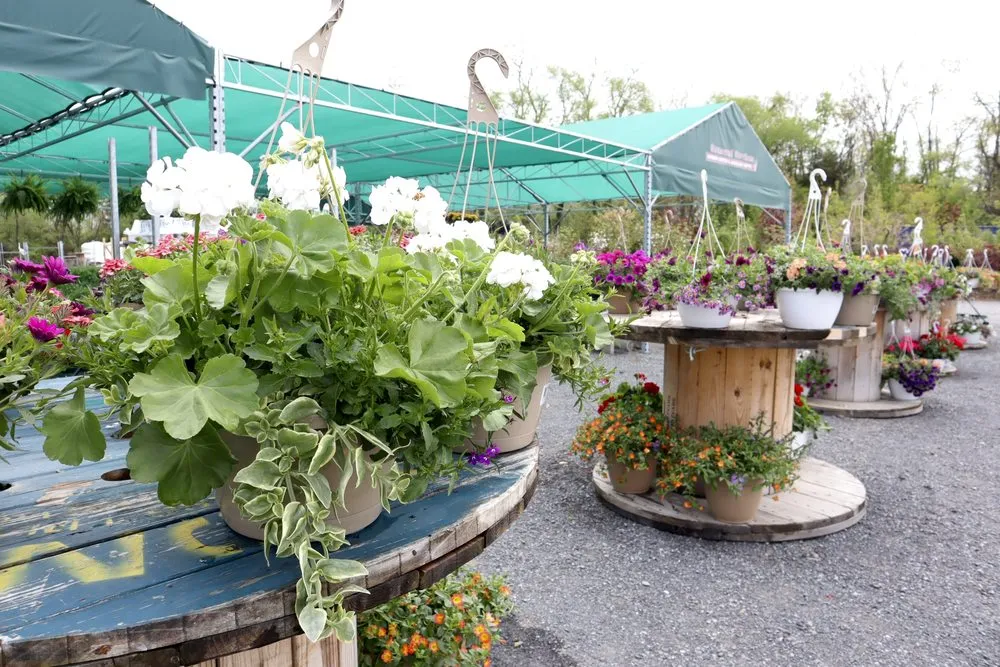 Reliable landscape design in Inwood, WV by Seasonal Services Garden Center & Landscape Supply