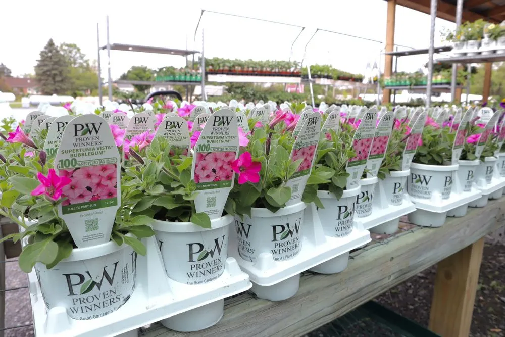 Reliable landscaping services in Inwood, WV - Seasonal Services Garden Center & Landscape Supply