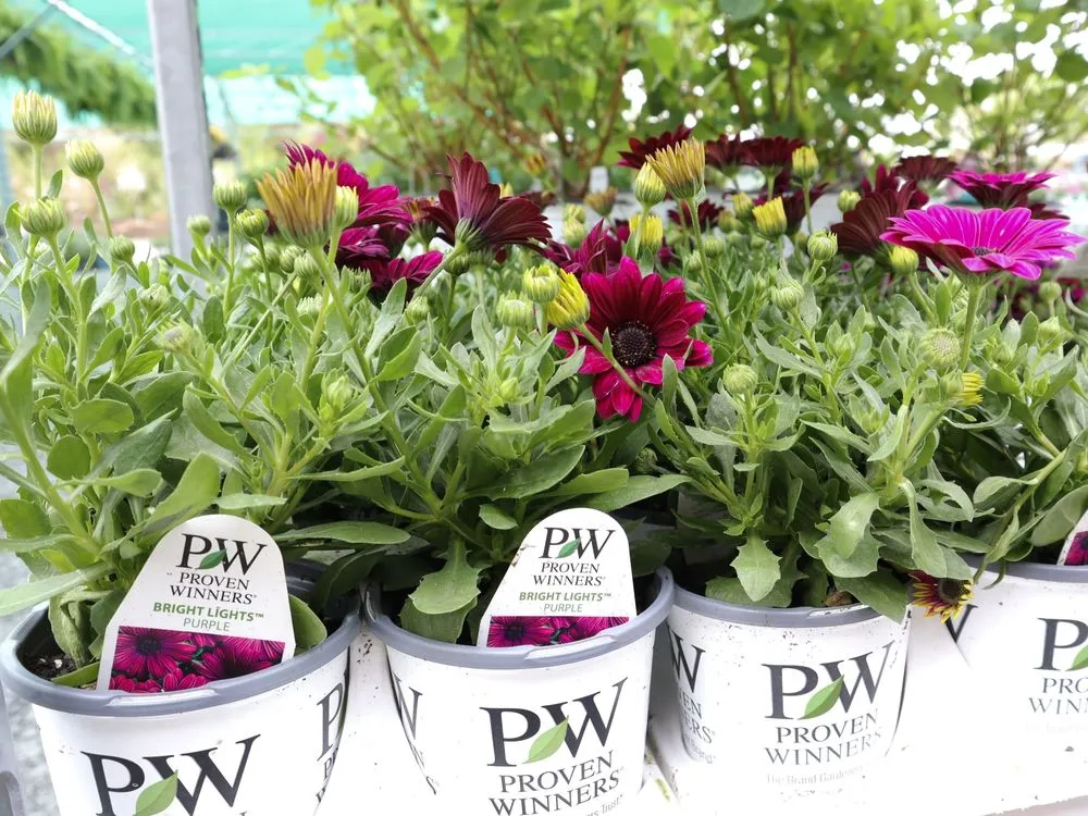 Reliable landscape installation in Inwood, WV by Seasonal Services Garden Center & Landscape Supply