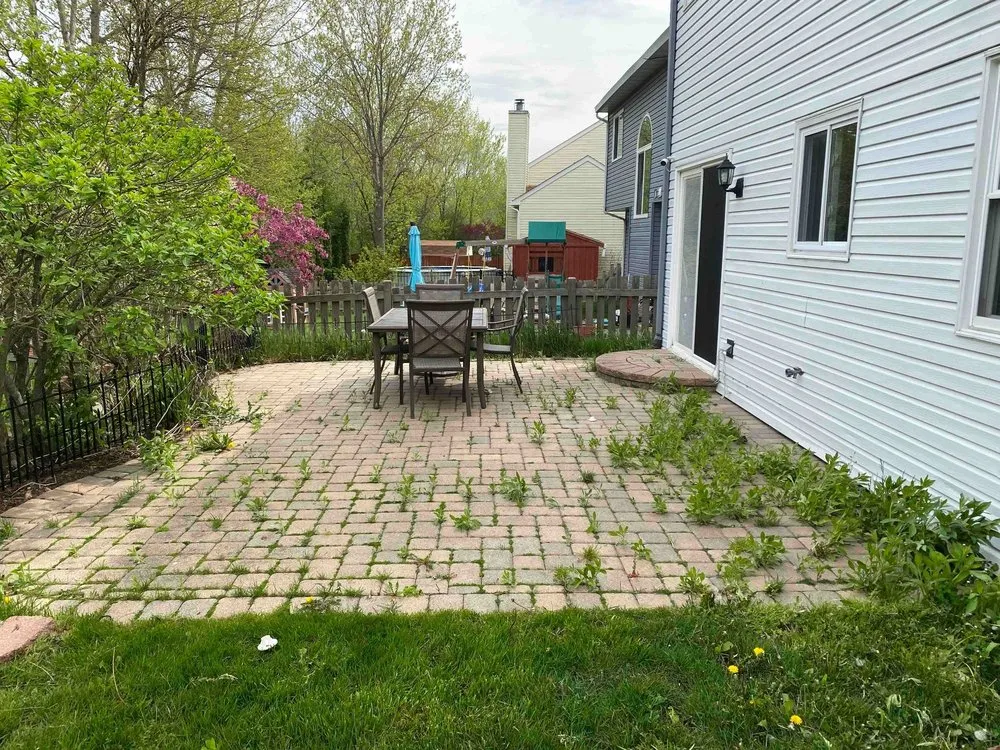 Expert landscape installation in Lake Villa, IL by Seasonal Services