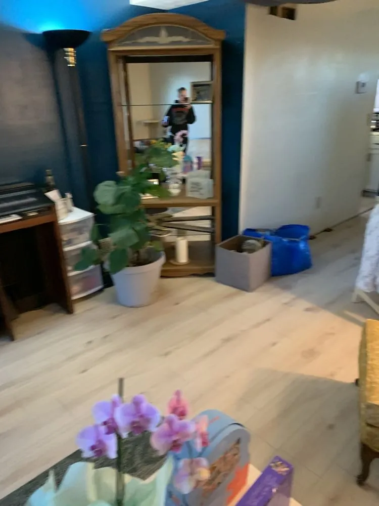 Reliable landscaping services in Lincoln Village, OH - Seasonal Shenanigans Year-Round Care