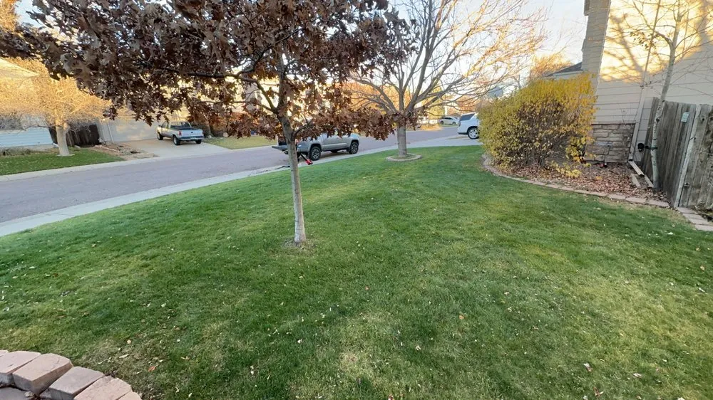 Local landscape installation experts serving Littleton, CO - Seasonal Solutions Landscaping