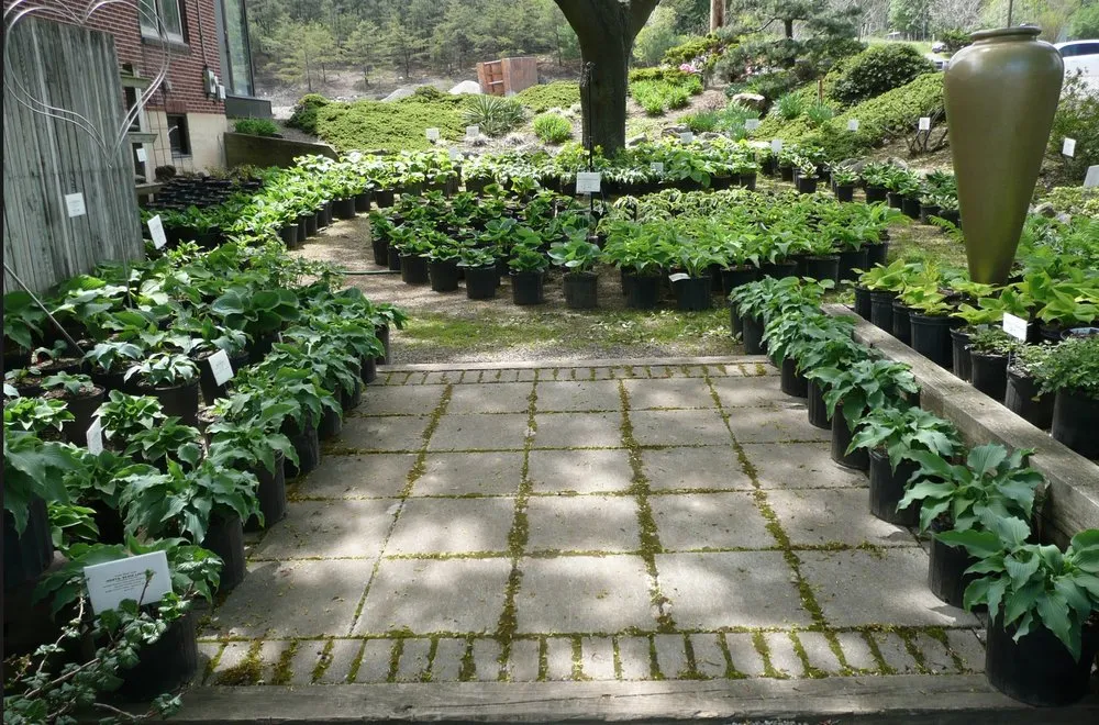 Affordable landscaping services for outdoor upgrades in Orwigsburg, PA by Season's Art Landscape Design