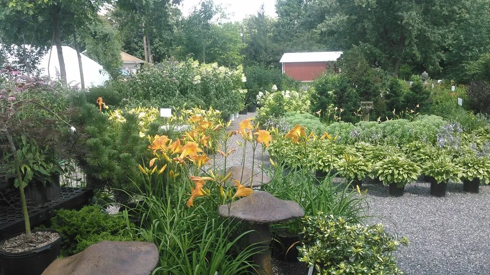 Affordable residential landscaping in Orwigsburg, PA by Season's Art Landscape Design