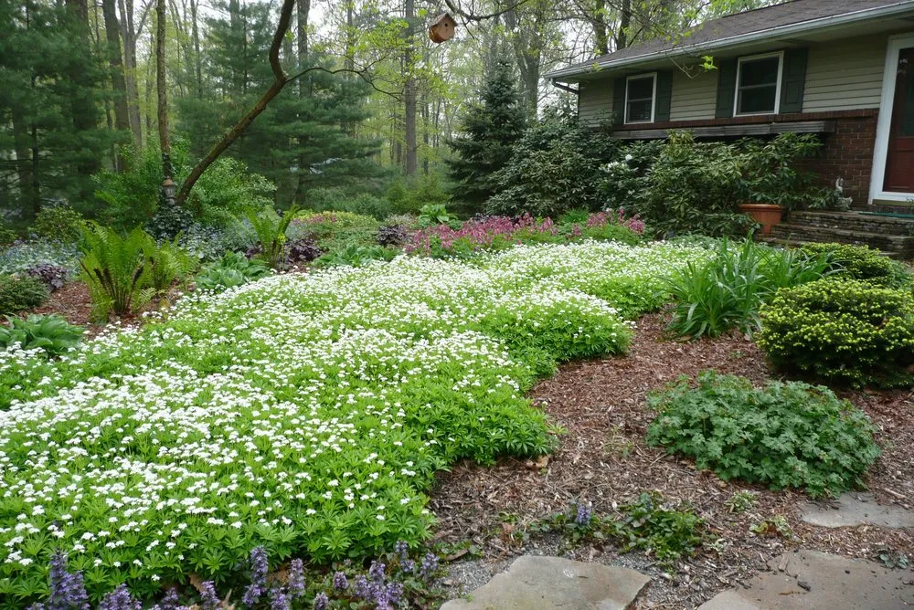 Professional lawn care service for residential properties in Orwigsburg, PA by Season's Art Landscape Design