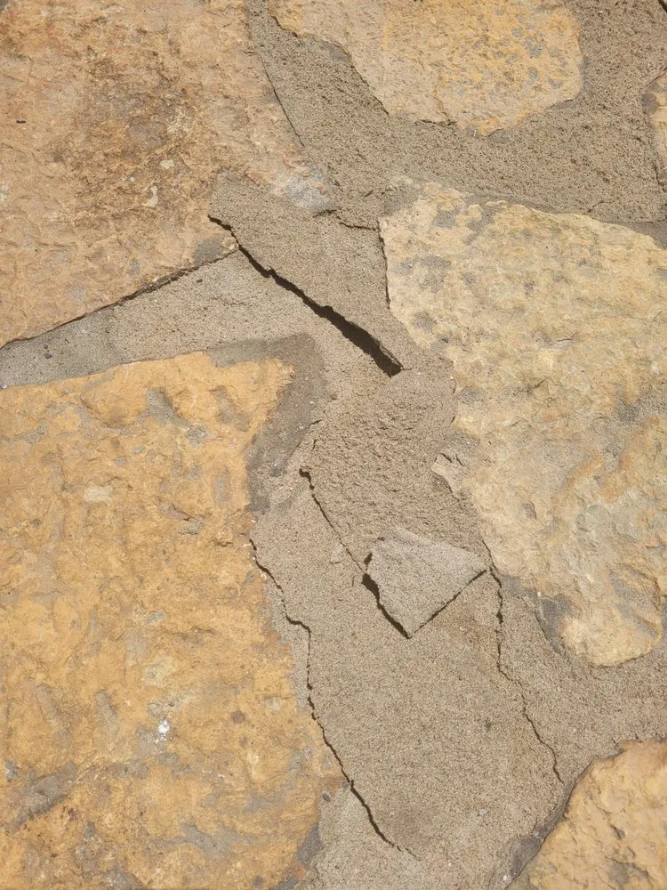 Trusted yard maintenance in Maineville, OH by Seasons Best Landscaping