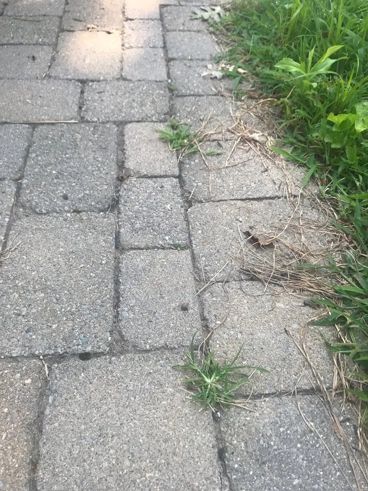 Custom landscaping services for year-round maintenance in Maineville, OH by Seasons Best Landscaping