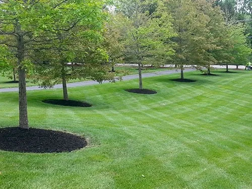 Trusted landscape design in Maineville, OH - Seasons Best Landscaping