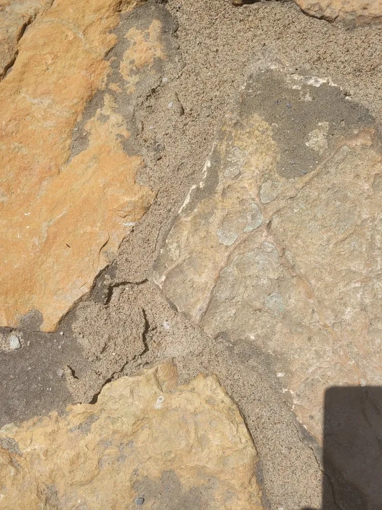 Reliable landscaping services experts serving Maineville, OH - Seasons Best Landscaping