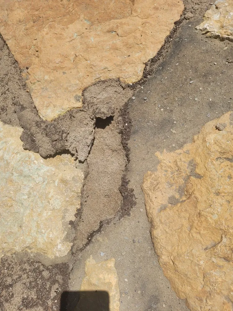 Reliable garden landscaping for year-round maintenance in Maineville, OH by Seasons Best Landscaping