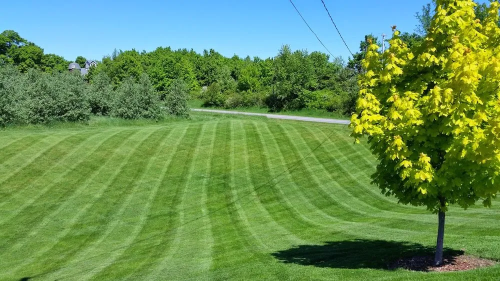 Local yard cleanup service with custom design across Comstock Park, MI - Seasons Change Services