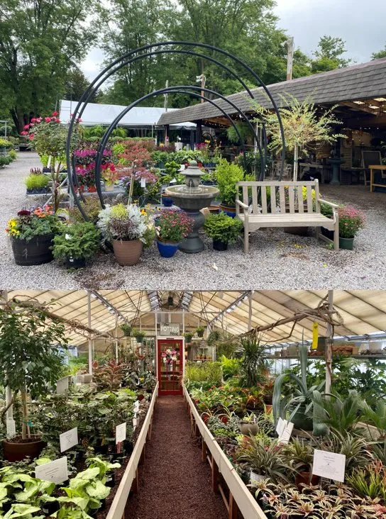 Trusted yard maintenance for beautiful yards in Washington Crossing, PA by Seasons Garden Center