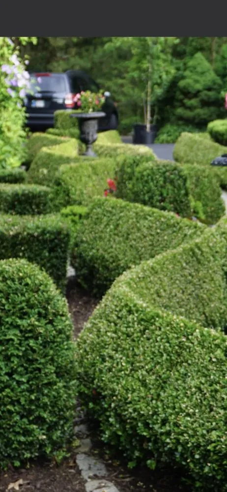 Professional lawn mowing service experts serving Northfield, NJ - Seasons Landscaping