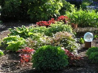 Local yard maintenance for year-round maintenance in Conestoga, PA by Seasons Lawn & Landscape Service