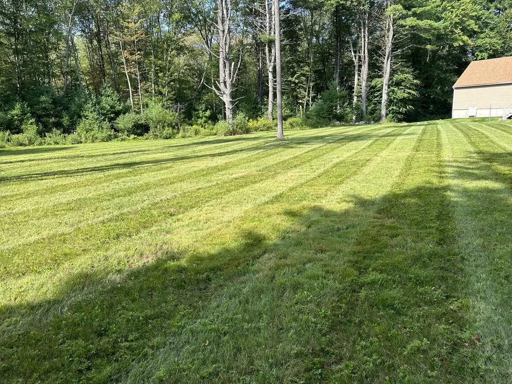 Custom yard maintenance for homes in Georgetown, MA by Seasons Lawncare