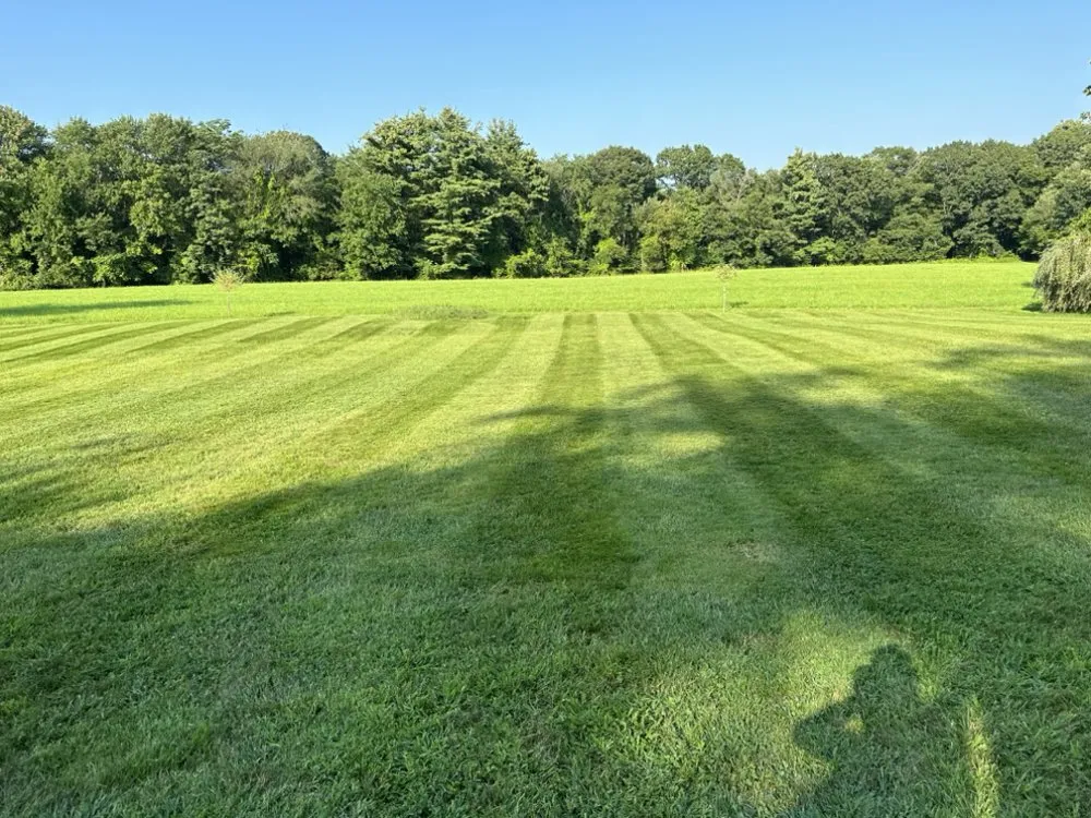 Top-rated outdoor landscaping for residential properties in Georgetown, MA by Seasons Lawncare