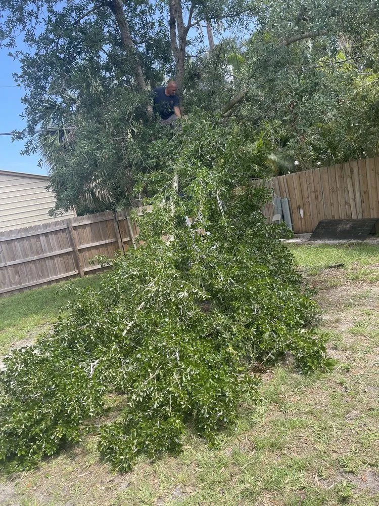 Top-rated residential landscaping with custom design in Port St. Lucie, FL by Seasons Matter