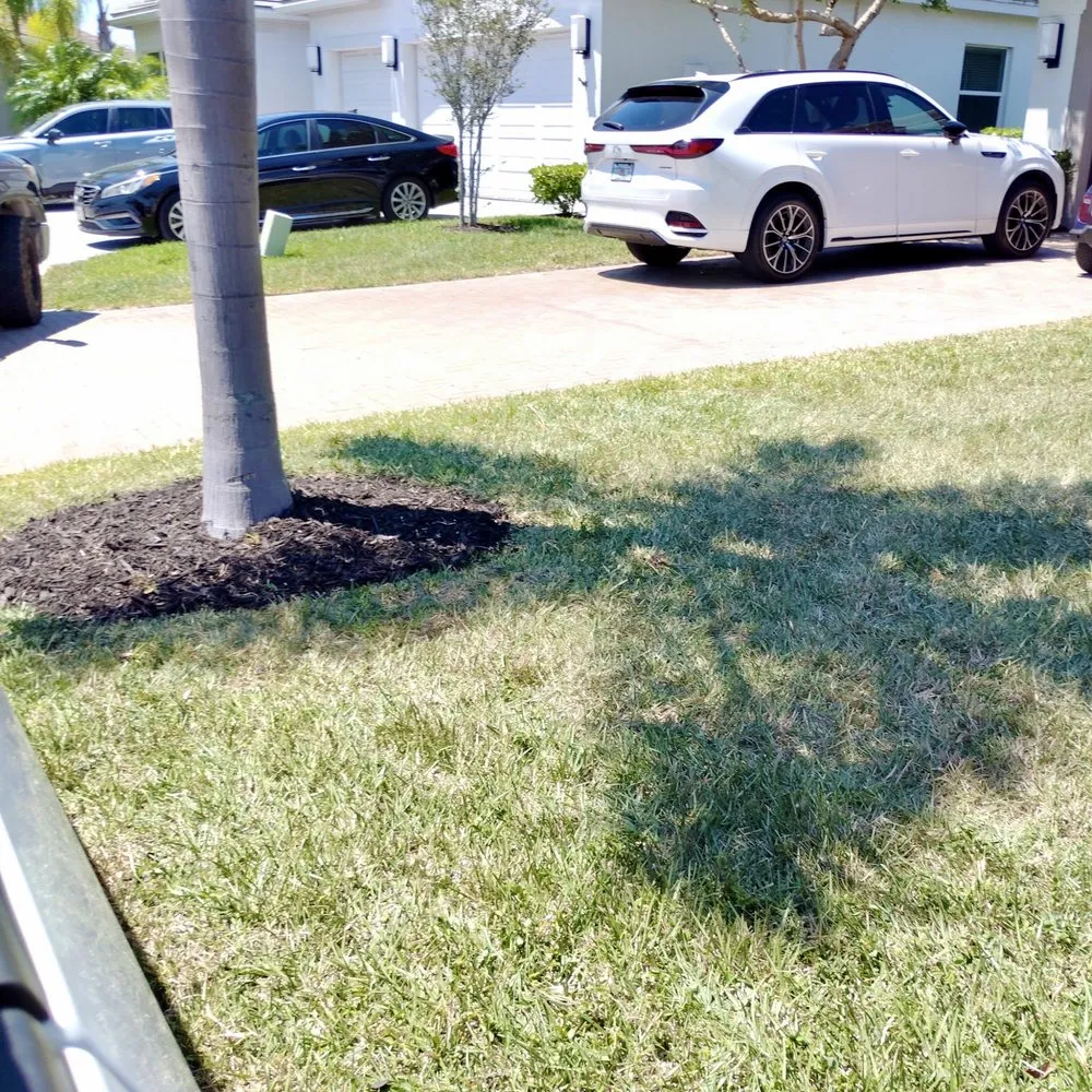 Professional outdoor landscaping in Port St. Lucie, FL - Seasons Matter