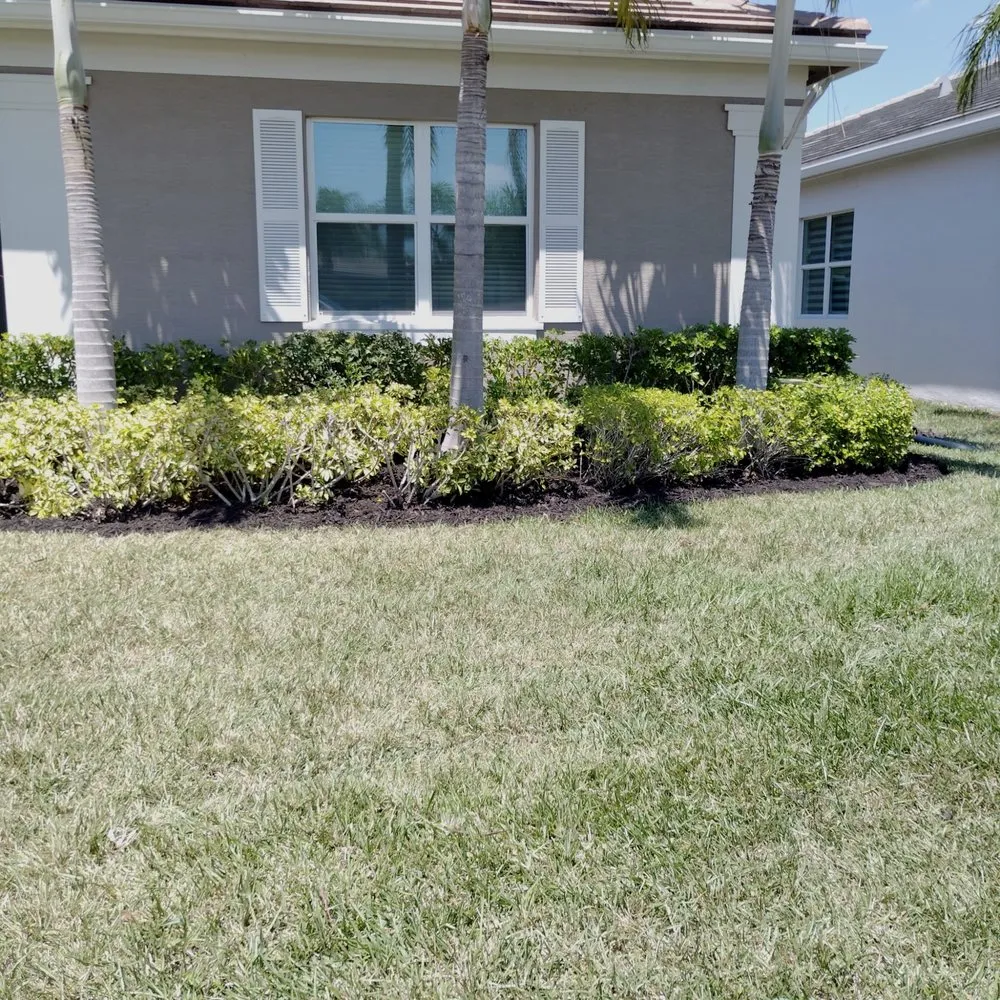 Trusted yard cleanup service in Port St. Lucie, FL - Seasons Matter