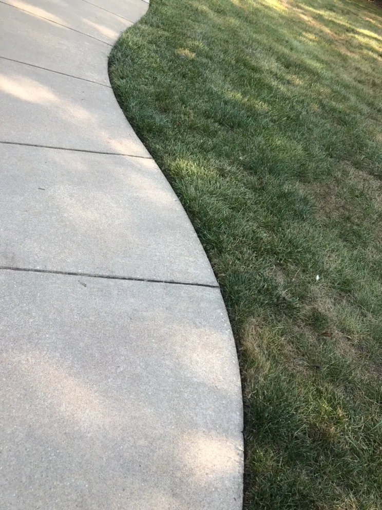 Top-rated yard cleanup service with custom design in Fredericksburg, VA by Seasons now