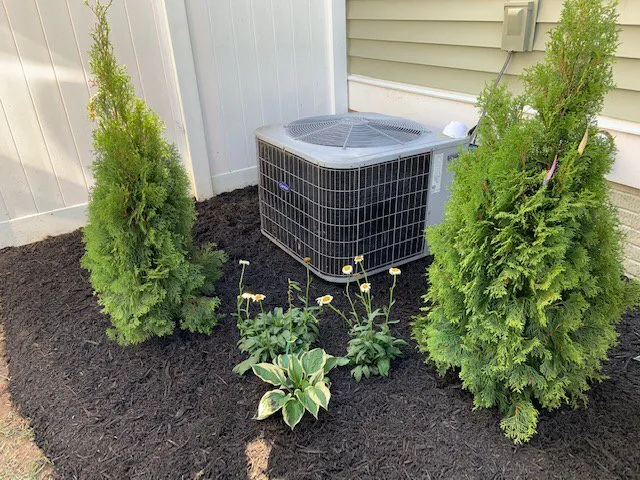 Professional lawn mowing service in Fredericksburg, VA - Seasons now