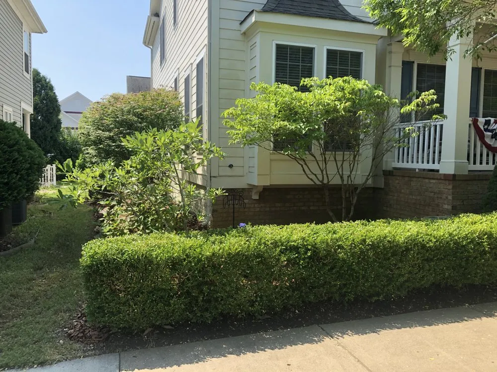 Custom yard maintenance for year-round maintenance across Fredericksburg, VA - Seasons now