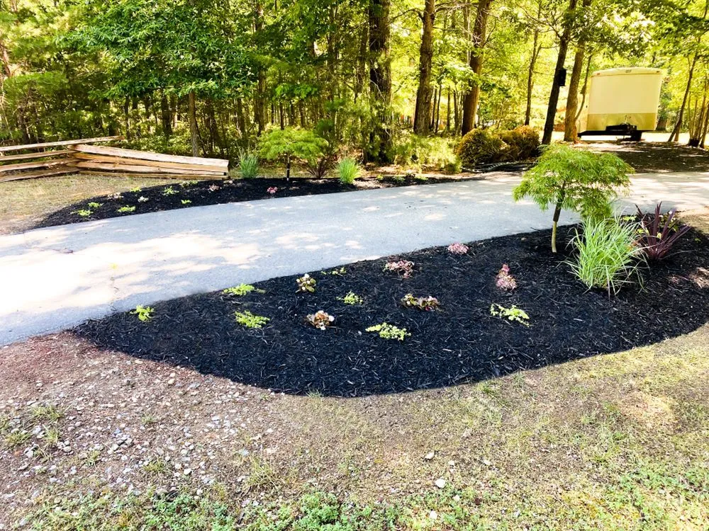 Expert outdoor landscaping in Fredericksburg, VA - Seasons now