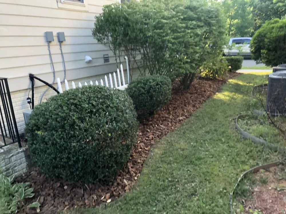 Professional lawn care service in Fredericksburg, VA - Seasons now