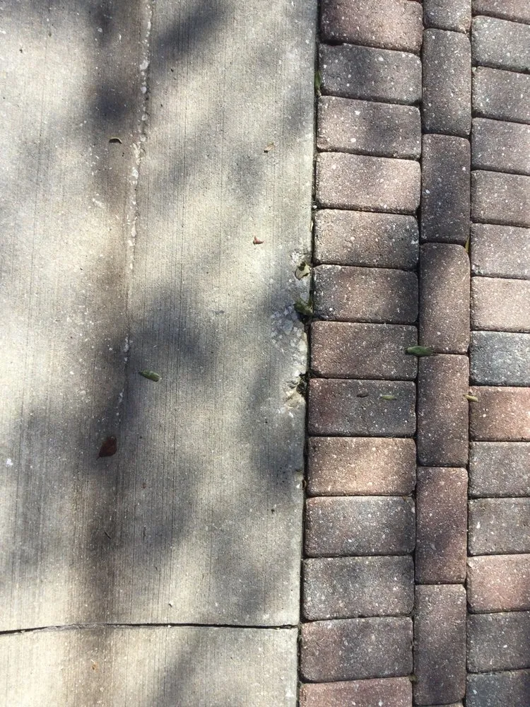 Expert lawn care service for homes in Naples, FL by Seasons Service Select