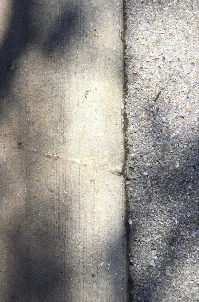 Trusted landscaping services for outdoor upgrades across Naples, FL - Seasons Service Select