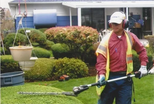 Affordable landscape installation for outdoor upgrades across Tukwila, WA - SeaTac Landscaping