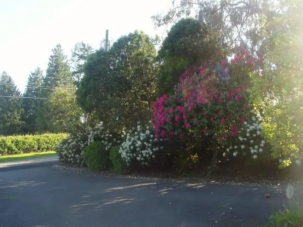 Expert garden landscaping in Tukwila, WA - SeaTac Landscaping