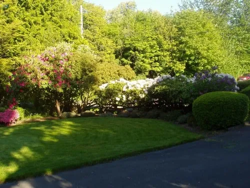 Expert residential landscaping for beautiful yards in Tukwila, WA by SeaTac Landscaping