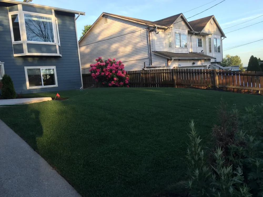 Local yard maintenance for year-round maintenance across Tukwila, WA - SeaTac Landscaping