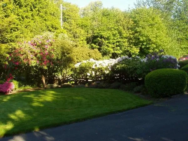 Affordable lawn mowing service in Tukwila, WA - SeaTac Landscaping