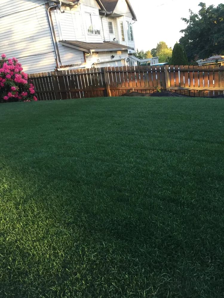 Top-rated yard cleanup service for homes across Tukwila, WA - SeaTac Landscaping