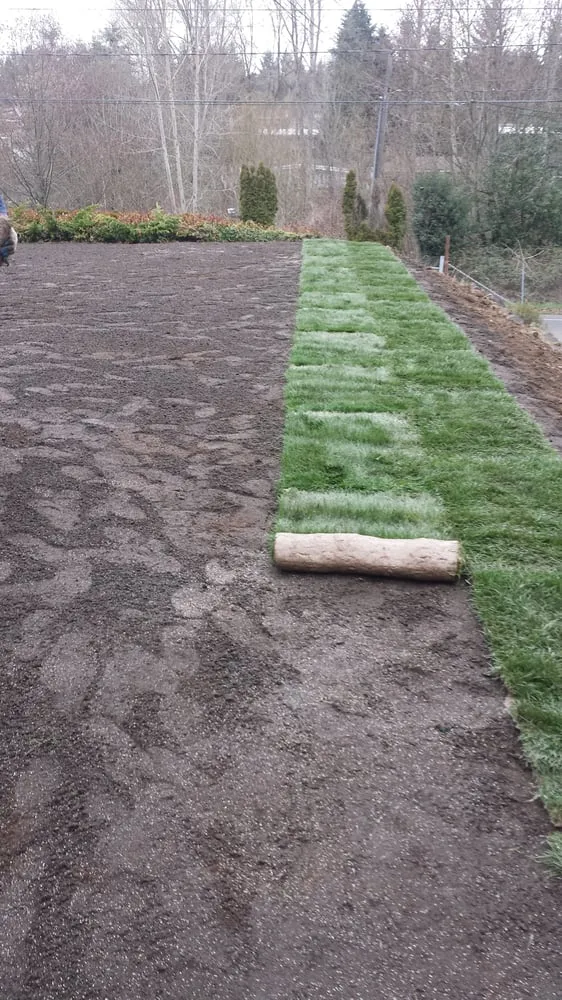 Local landscaping services in Tukwila, WA - SeaTac Landscaping