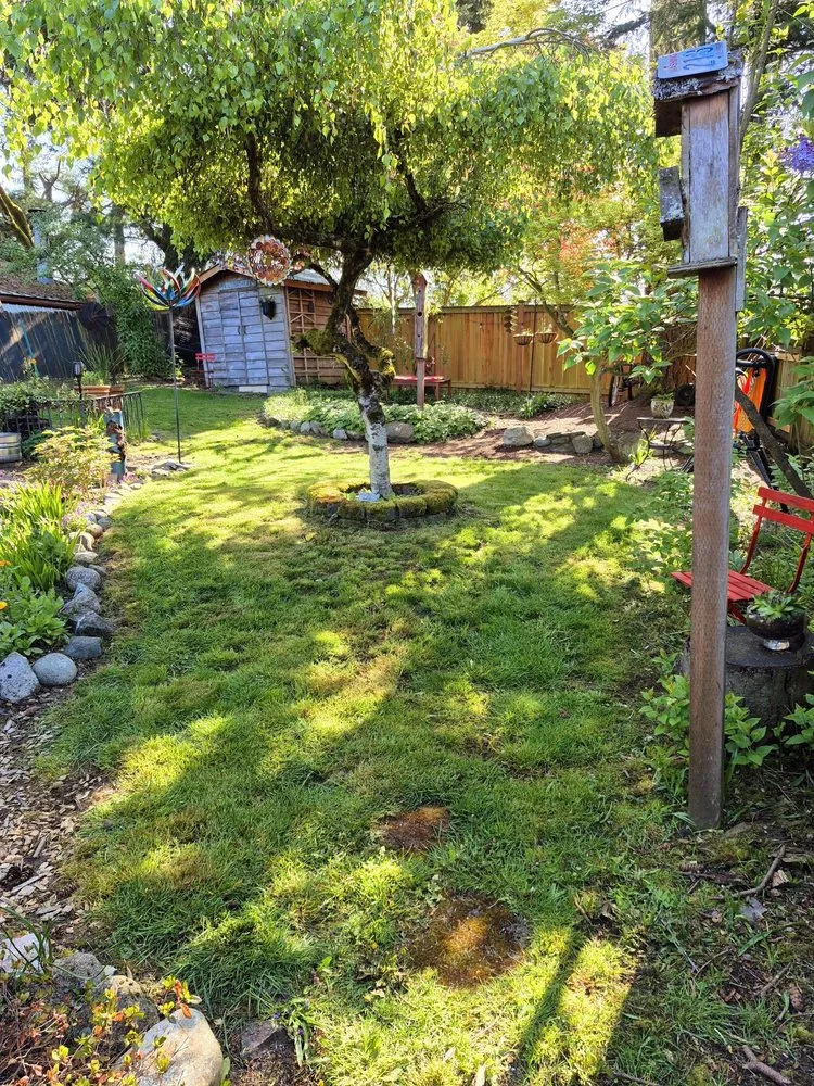 Professional garden landscaping for beautiful yards across Seattle, WA - Seatown Landscaping