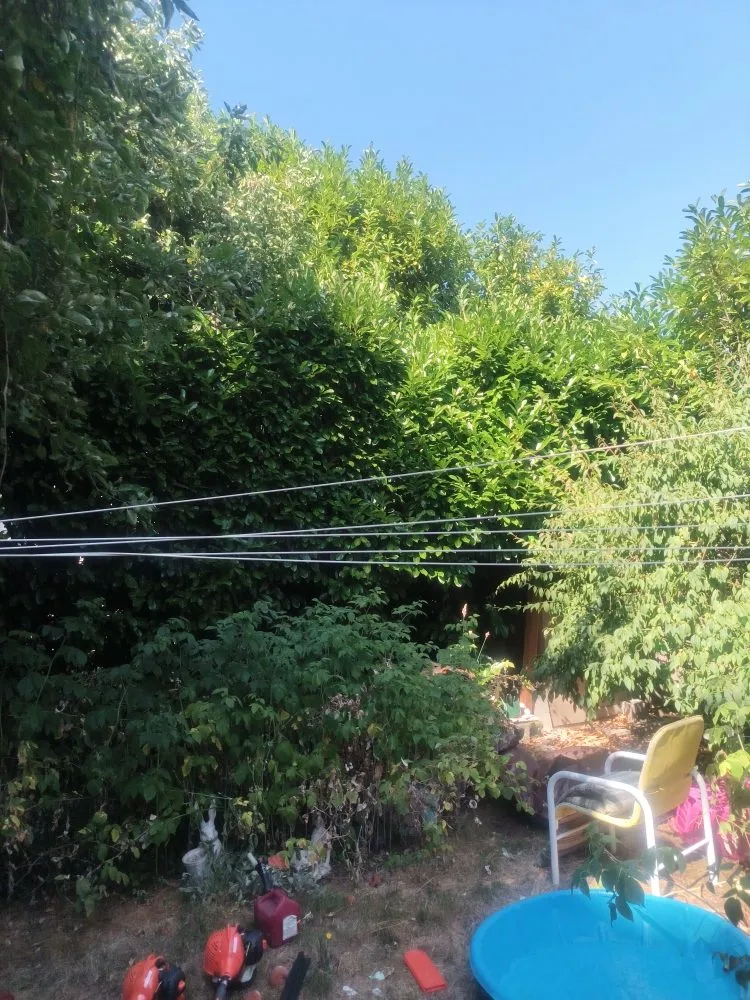 Local lawn mowing service for homes across Seattle, WA - Seatown Landscaping