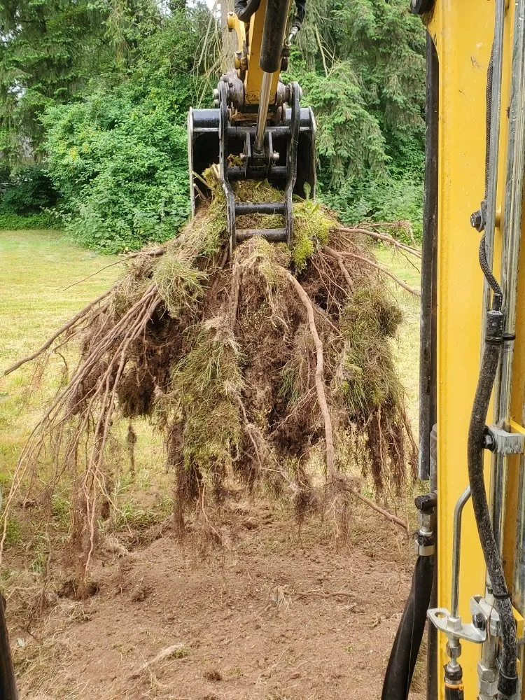 Trusted outdoor landscaping in Seattle, WA - Seatown Landscaping