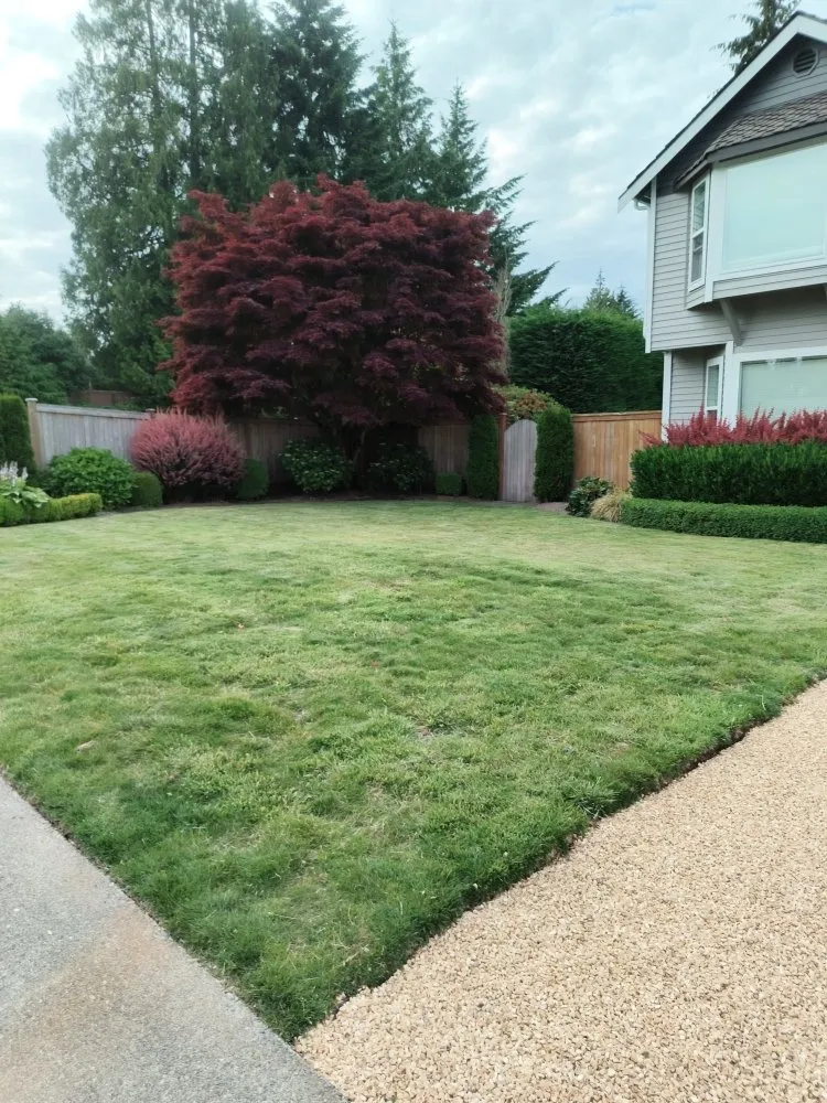Professional yard maintenance for homes in Seattle, WA by Seatown Landscaping