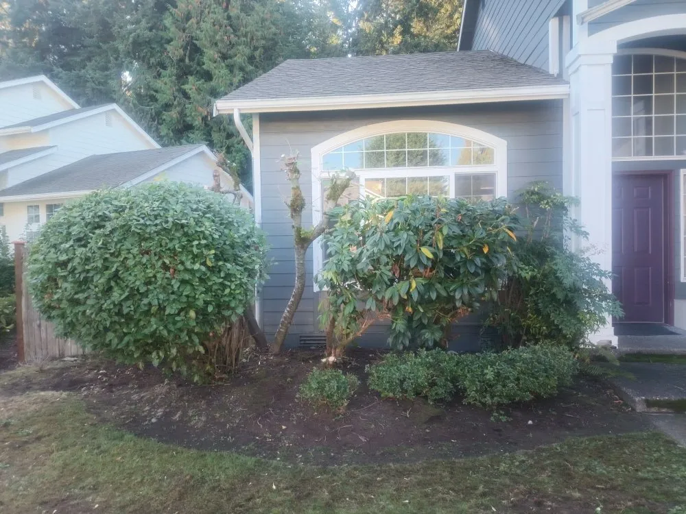 Custom landscape design near you across Seattle, WA - Seatown Landscaping