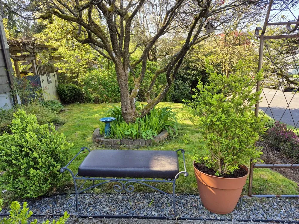 Expert residential landscaping in Seattle, WA - Seatown Landscaping