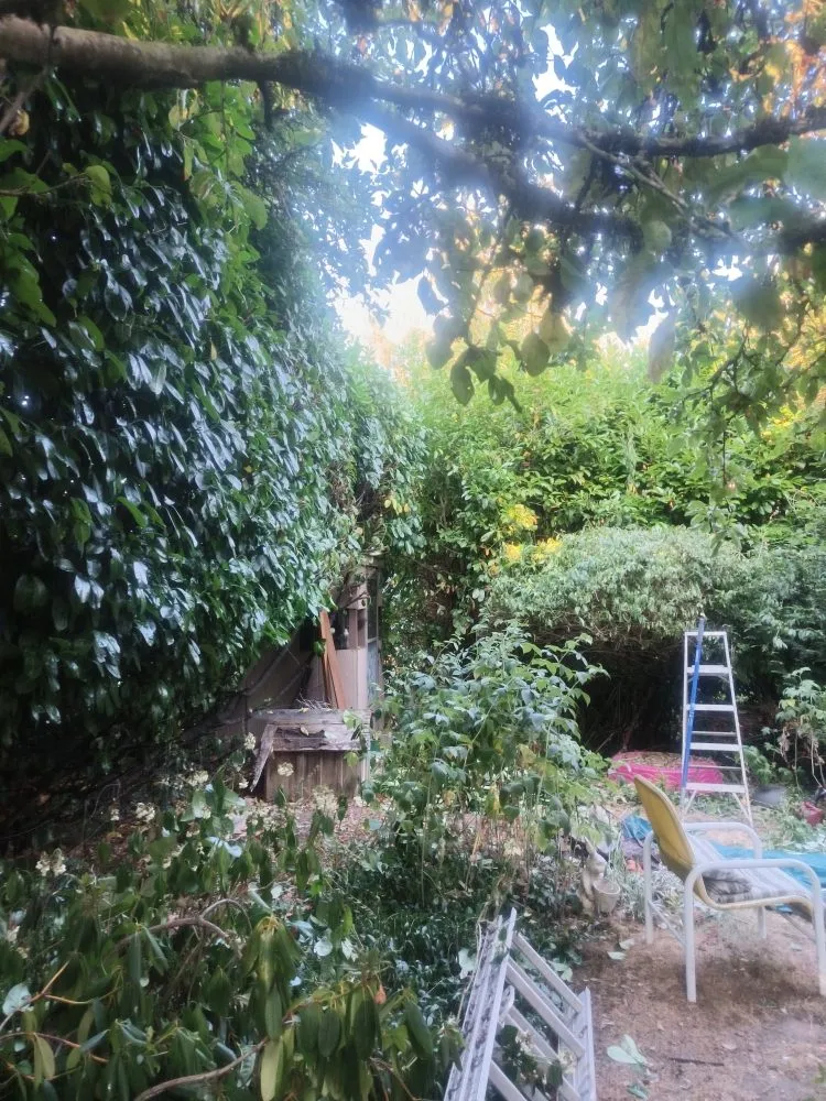 Top-rated lawn mowing service for year-round maintenance across Seattle, WA - Seatown Landscaping